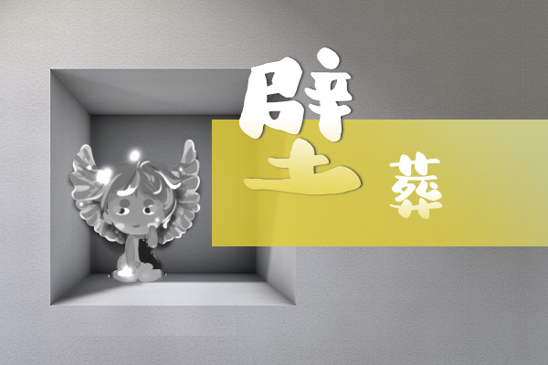壁葬