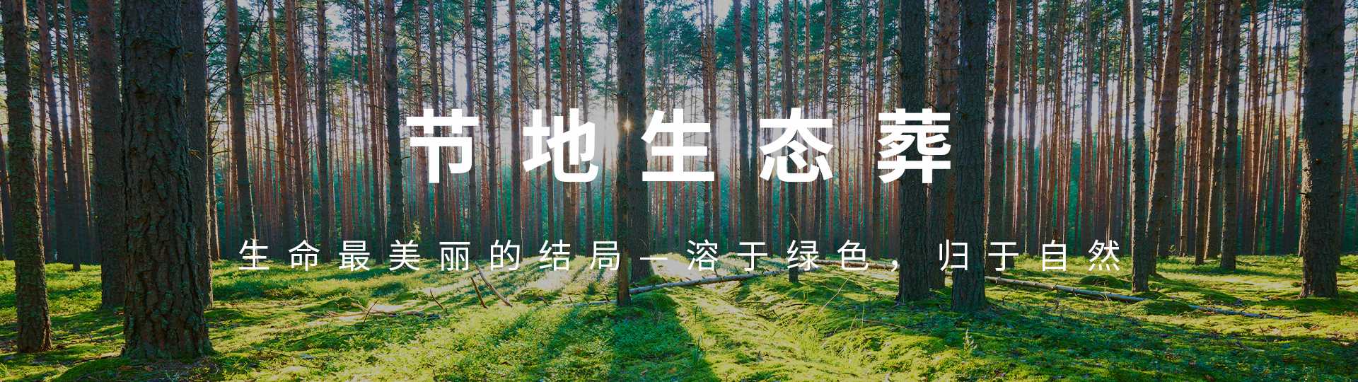 北京生态葬,北京树葬,北京花坛葬,北京草坪葬