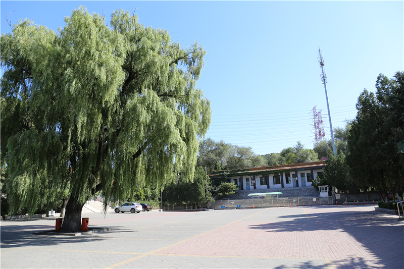停车场