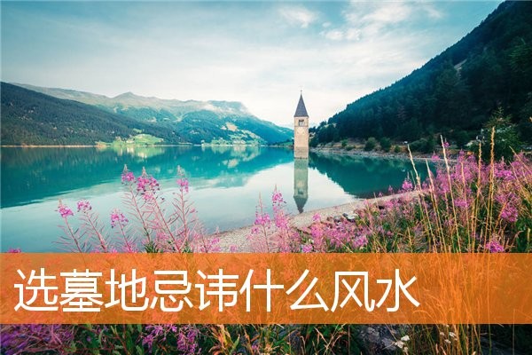 选墓地忌讳什么环境 选墓地忌讳什么环境