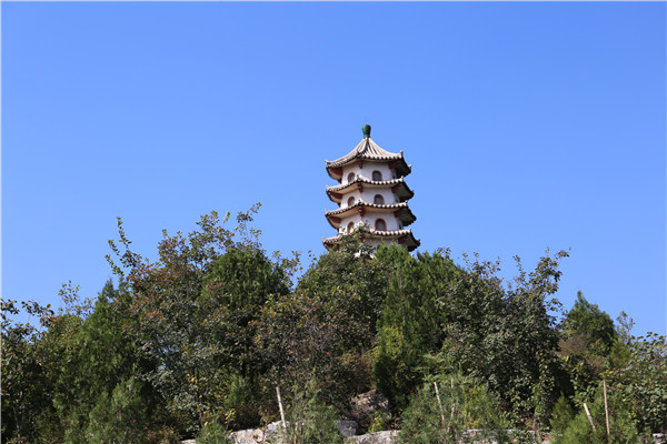 环境墓地怎么看好坏?