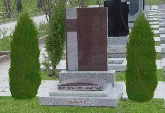 一般墓地种多少棵柏树对后人好(图1) 一般墓地种多少棵柏树对后人好