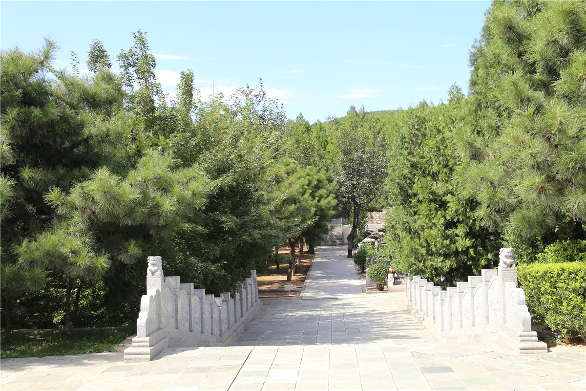 道路