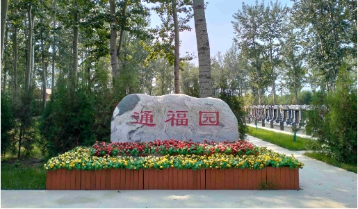 通福园公墓是合法墓地吗？
