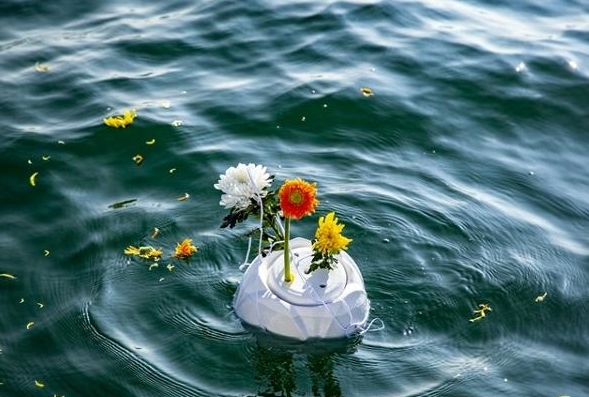 网友吐槽海葬太贵了，海葬价格年年涨