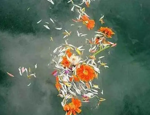海葬需要花钱吗？