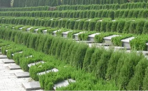 房山万宁公墓续费价格是多少(图1) 房山万宁公墓续费价格是多少