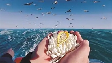 海撒骨灰手续怎么办理