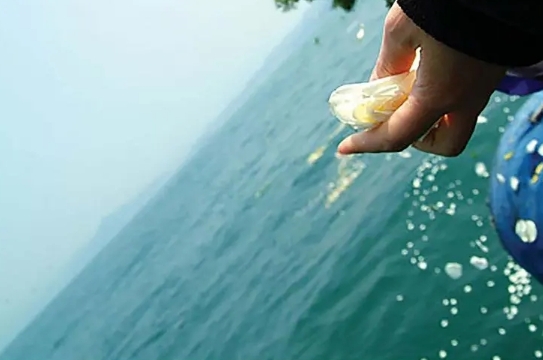海葬从风水上讲好不好