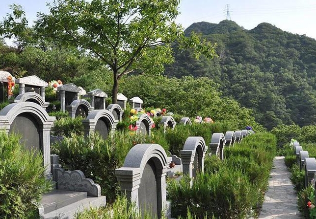 购买墓地时需要注意什么