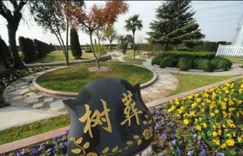 长安园陵园的墓型有哪些？