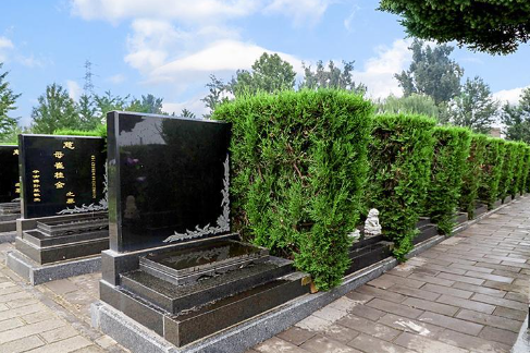 北京朝阳墓地咨询处电话多少？